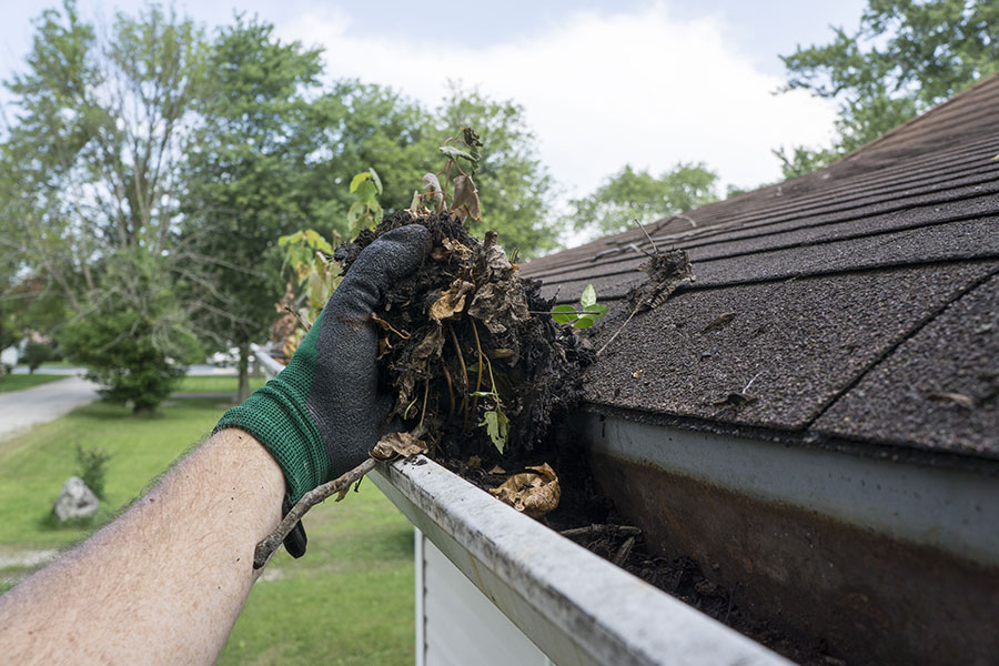 A residential homeowner in Springfield, IL using a green and black glove to get rid of leaves and debris in their gutters.