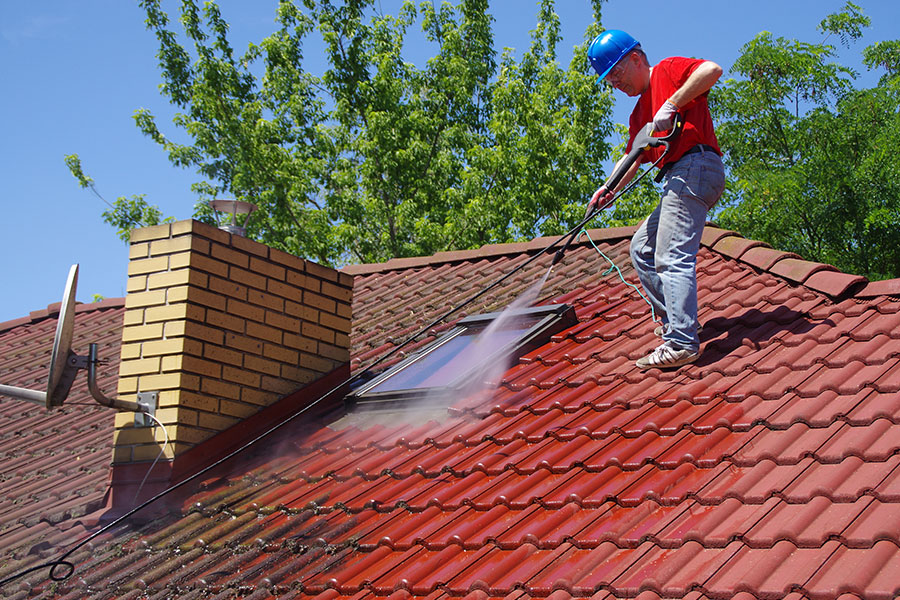 A reliable home improvement and roof cleaning expert getting rid of mold growth on a red roof in Springfield, IL.